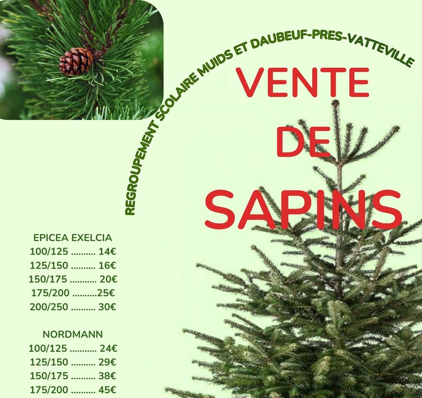 Sapin de Noël 2025